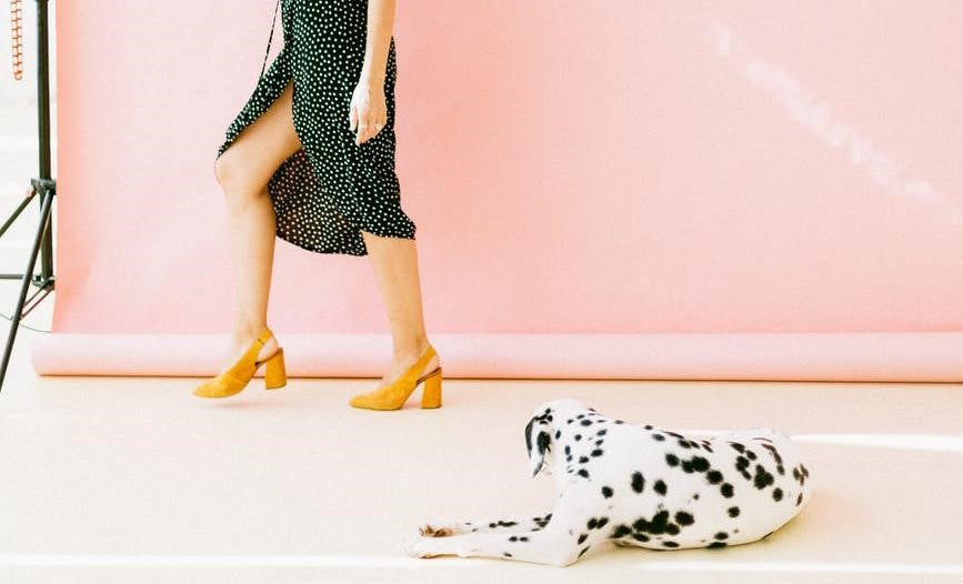 Where Can I Buy Stylish Vegan Shoes?